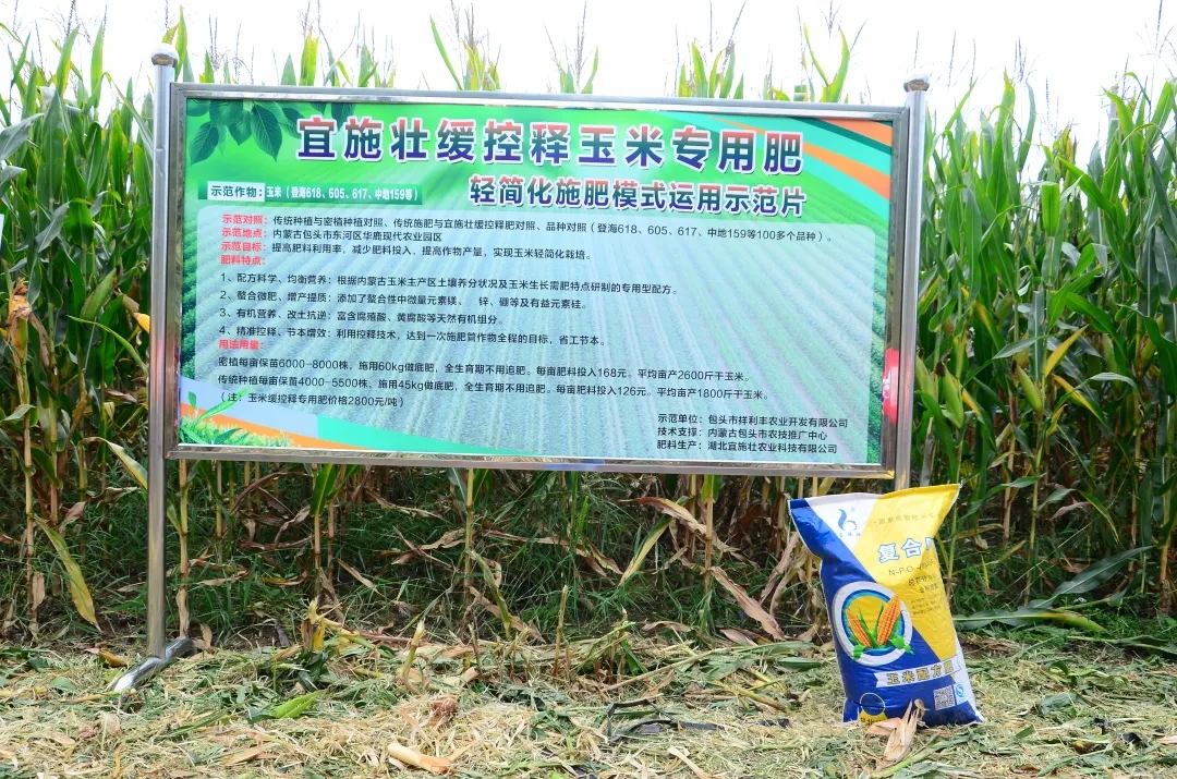 宜施壮玉米轻简化施肥模式在内蒙古开启